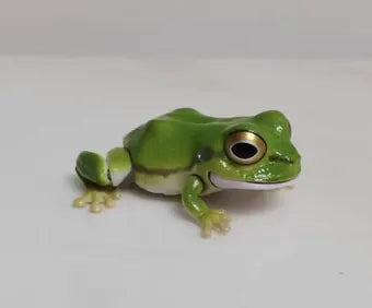 Japan Q Green Tree Frog PVC Action Figure model with 9 joints, Color A