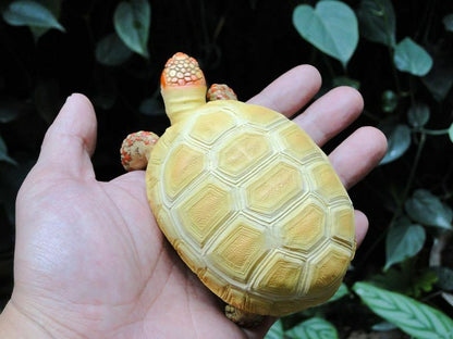 1:1 Life Size Albino Red Footed Tortoise Turtle Replica Model Figurine 11.5cm