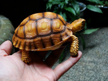 1:1 Life Size Geochelone sulcata Tortoise Turtle Replica Model Figurine 14cm