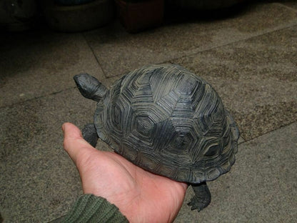 Aldabra giant tortoise Land Tortoise Turtle Resin Model Figure Figurine 20.5cm