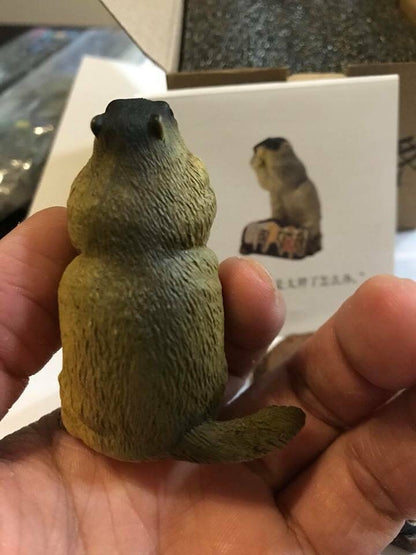 Himalayan marmot Resin animal figure figurine model