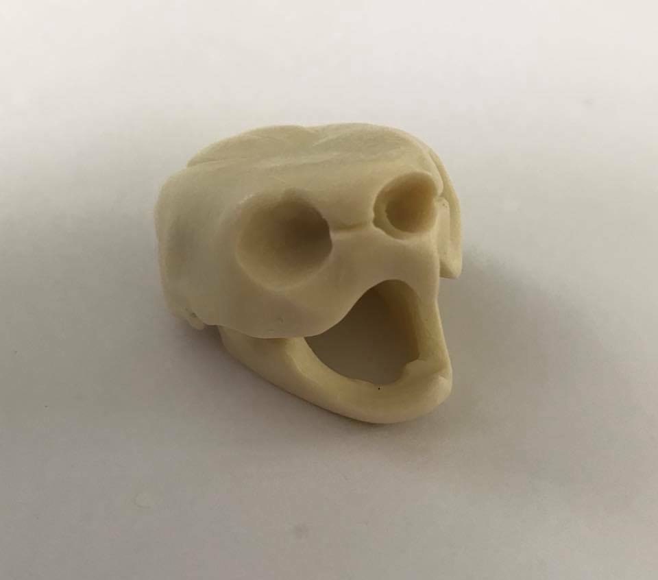 Resin Big headed turtle skull mini figurine figure model replica 2 inches