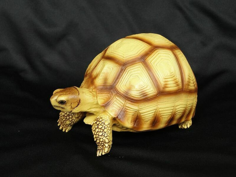 Life Size Large Angonoka Tortoise Resin Replica Model Figurine 14cm Yelllow