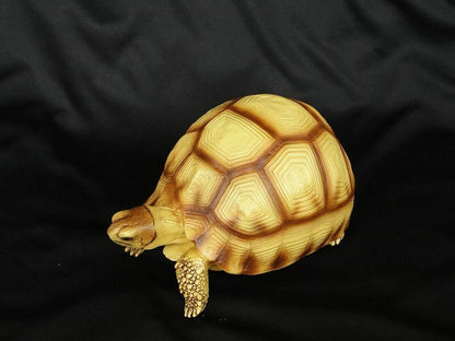 Life Size Large Angonoka Tortoise Resin Replica Model Figurine 14cm Yelllow