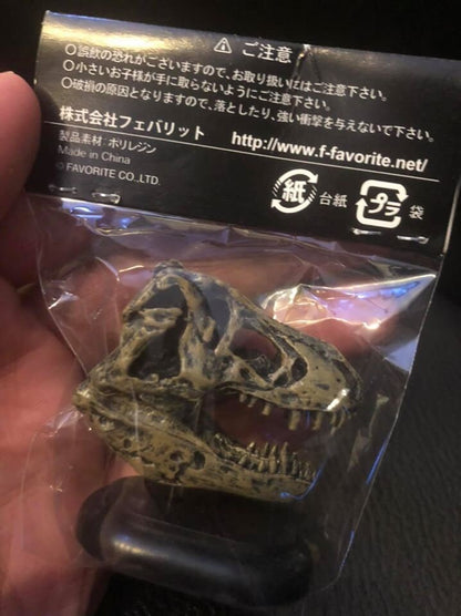 Japan Favorite Collection Special Miniature Model T-rex Skull Dinosaur Model Figure A