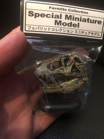 Japan Favorite Collection Special Miniature Model T-rex Skull Dinosaur Model Figure A