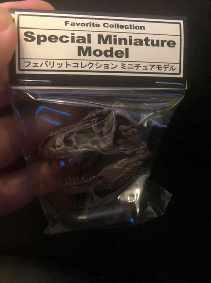 Japan Favorite Collection Special Miniature Model T-rex Skull Dinosaur Model Figure B