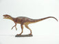 Kaiyodo 2006 Fukuiraptor Fukui Dinosaur Museum Exclusive Model Figure Figurine