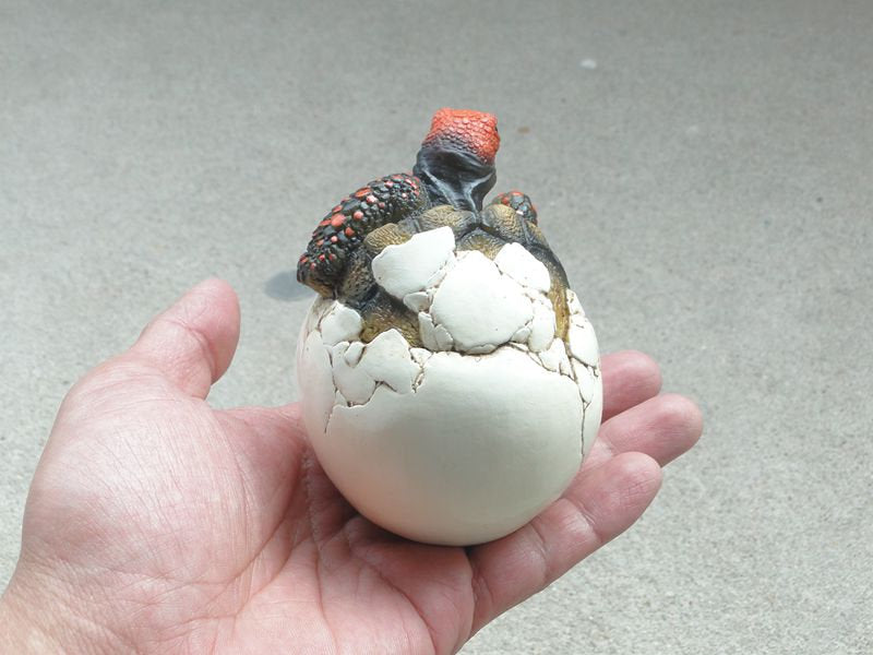 Baby Red Footed Tortoise Turtle Hatching Replica Model Figure Figurine 8cm