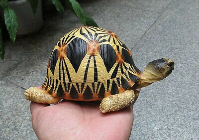 Life Size Resting Radiated Tortoise Turtle Replica Model Figurine high yellow