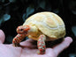 1:1 Life Size Albino Red Footed Tortoise Turtle Replica Model Figurine 11.5cm