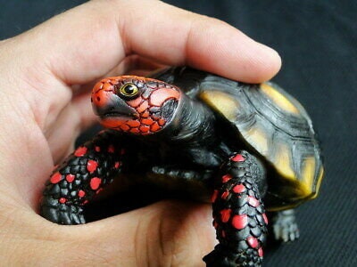 1:1 Life Size Red Footed Tortoise Turtle Replica Model Figurine 11.5cm