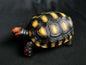 1:1 Life Size Red Footed Tortoise Turtle Replica Model Figurine 11.5cm