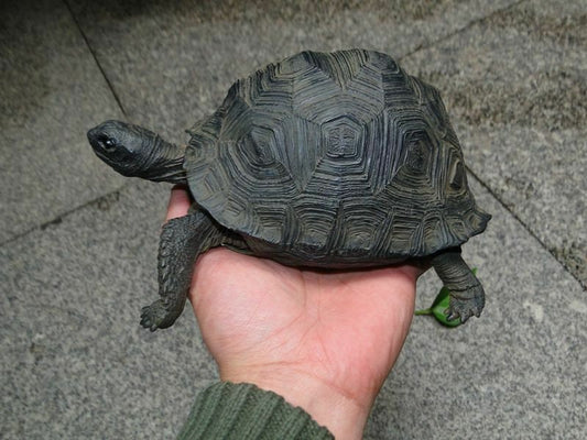 Aldabra giant tortoise Land Tortoise Turtle Resin Model Figure Figurine 20.5cm