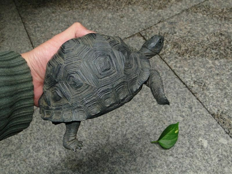 Aldabra giant tortoise Land Tortoise Turtle Resin Model Figure Figurine 20.5cm