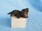 Super Q Alligator Snapping Turtle Tortoise Resin Model Figurine Figure 11cm