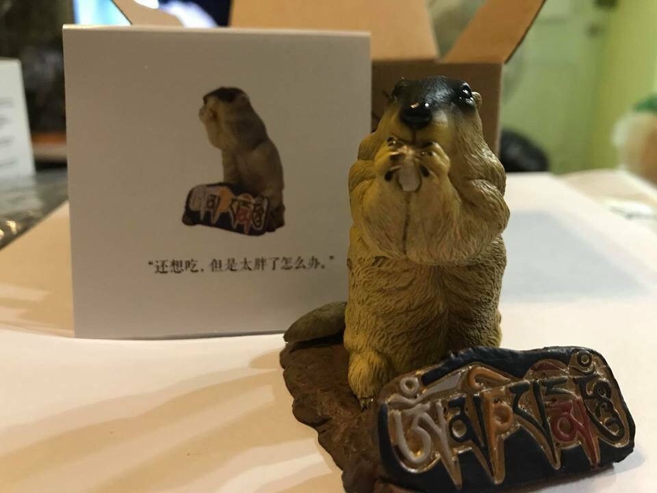 Himalayan marmot Resin animal figure figurine model