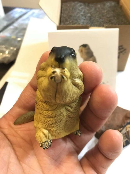 Himalayan marmot Resin animal figure figurine model