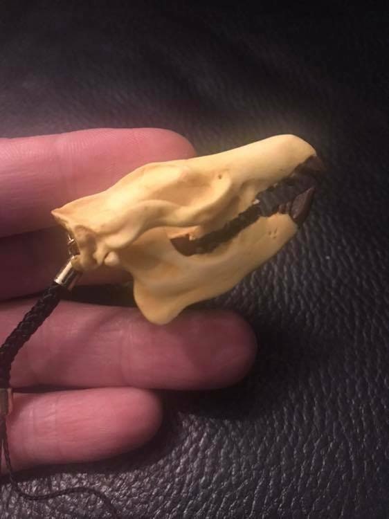 Kaiyodo Prehistoric Mammals Expo 2014 Trogosus Skull mini resin figure keychain