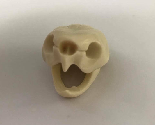 Resin Big headed turtle skull mini figurine figure model replica 2 inches