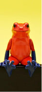 KItan Club Sitting Strawberry poison dart frog PVC mini Figurine Figure model