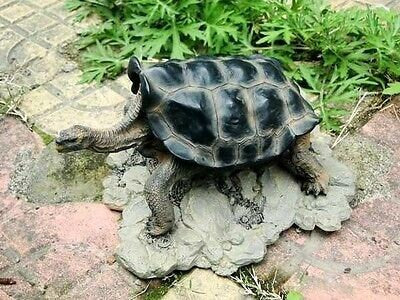 Galápagos Galapagos Giant Land Tortoise Turtle Resin Model Figurine 18cm