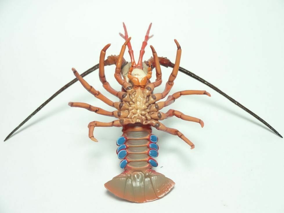 Nature of Japan Japanese spiny lobster PVC mini figurine Figure Model