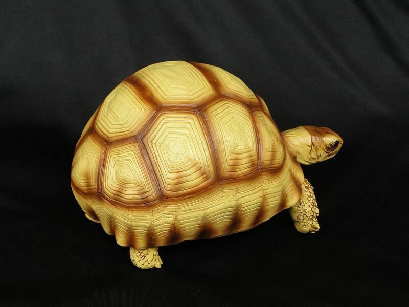 Life Size Large Angonoka Tortoise Resin Replica Model Figurine 14cm Yelllow