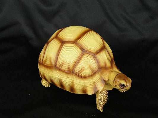 Life Size Large Angonoka Tortoise Resin Replica Model Figurine 14cm Yelllow