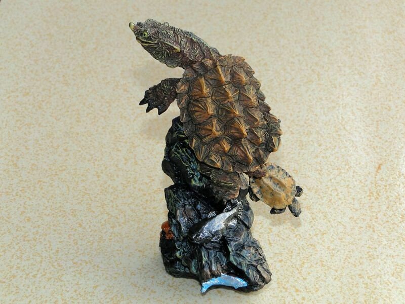 Resin Polyresin Mata Mata Turtle Tortoise Model Figurine Figure