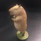 Asakuma Toshio Capybara animal PVC figurine figure model