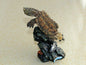 Resin Polyresin Mata Mata Turtle Tortoise Model Figurine Figure