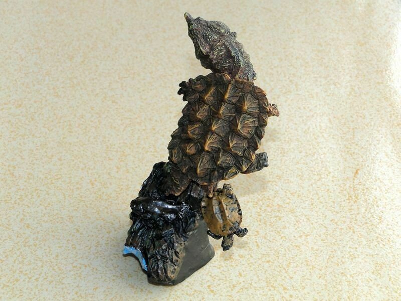 Resin Polyresin Mata Mata Turtle Tortoise Model Figurine Figure