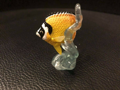 Blue Capsule HongKong Butterfly Fish PVC mini figurine figure Model