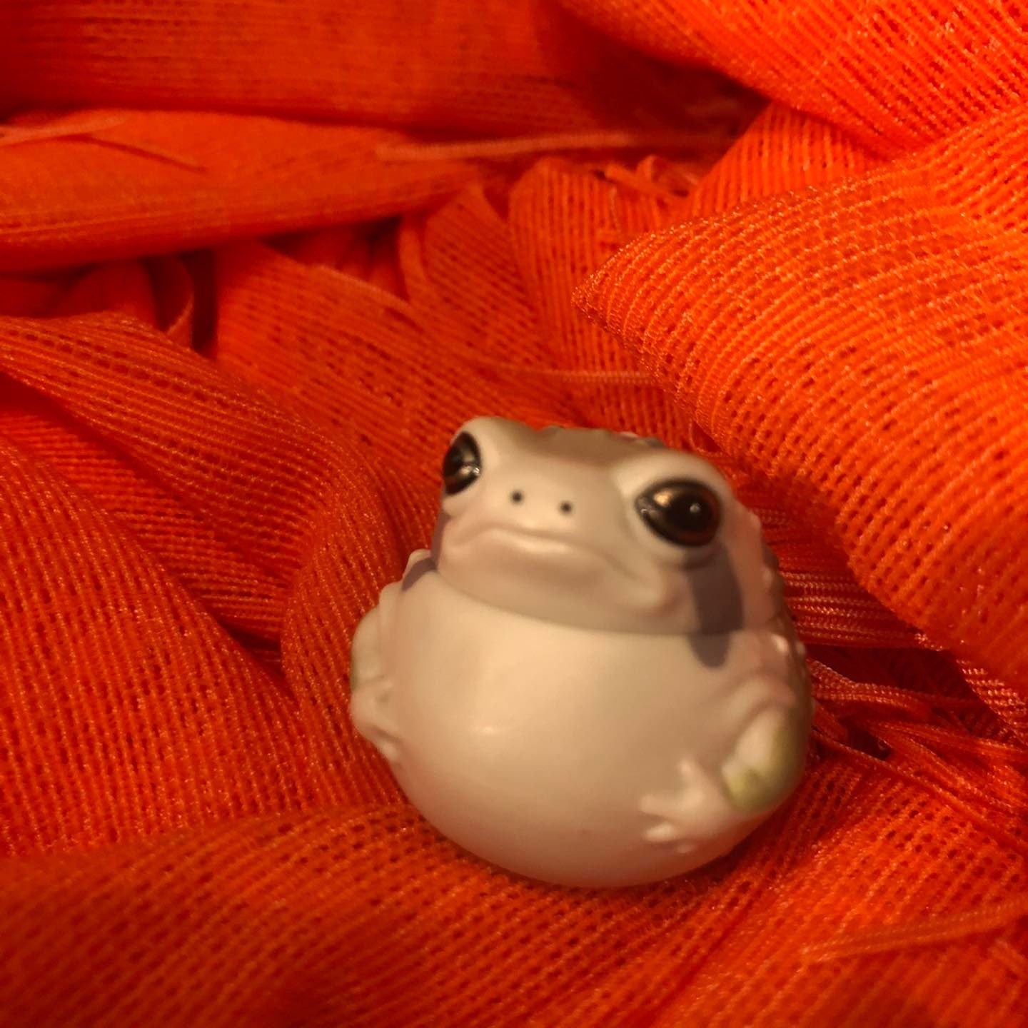 Common bushveld rain frog PVC mini Model Figure roly poly toy F