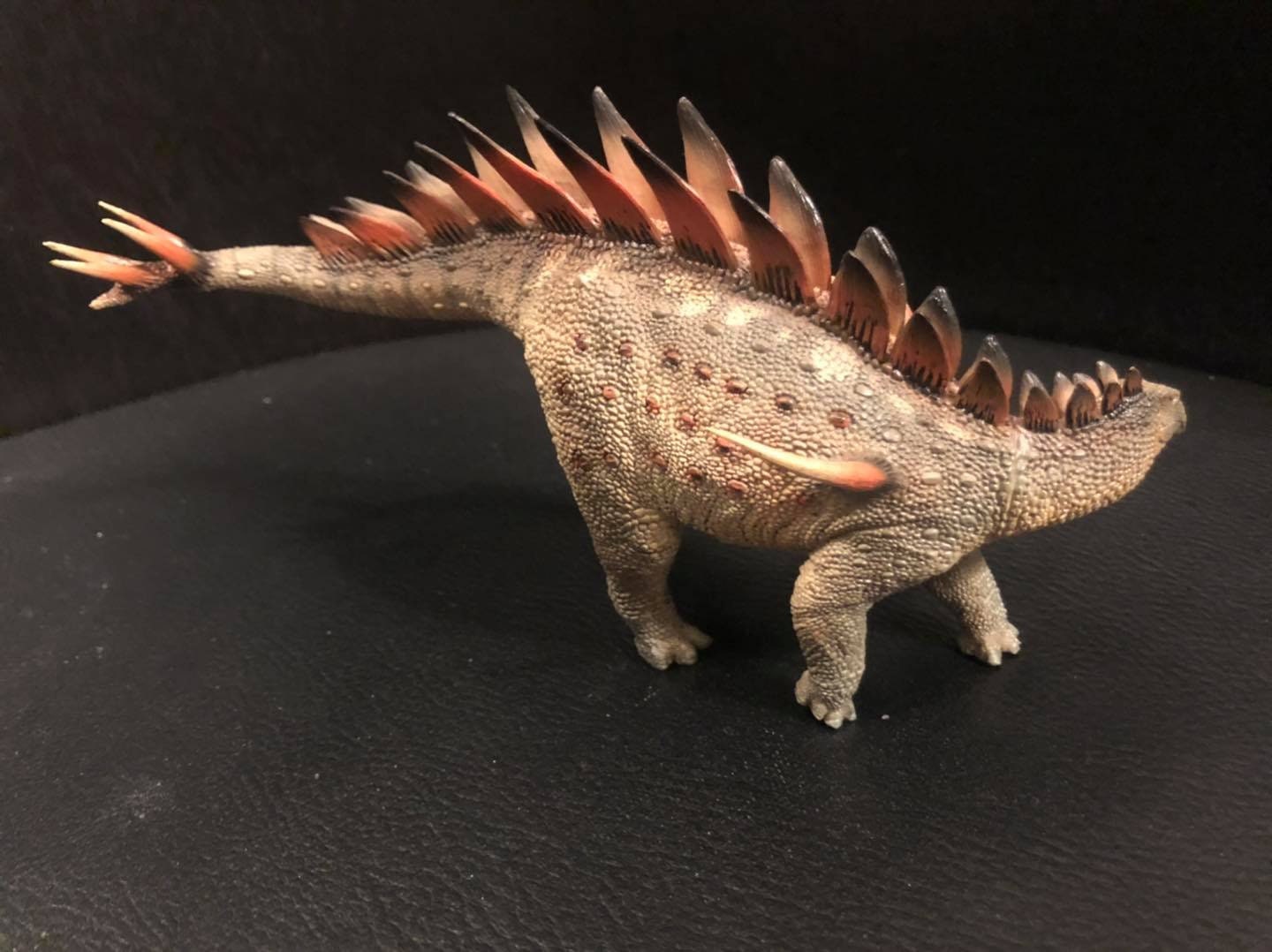 Tuojiangosaurus Dinosaur solid pvc model figure figurine