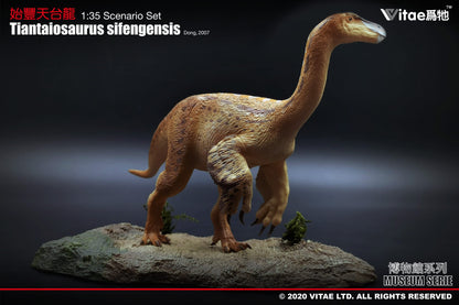 Vitae Museum Series Tiantaiosaurus sifengensis dinosaur model figurine (with platform A) 1:35