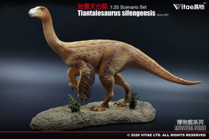 Vitae Museum Series Tiantaiosaurus sifengensis dinosaur model figurine (with platform A) 1:35