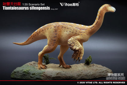 Vitae Museum Series Tiantaiosaurus sifengensis dinosaur model figurine (with platform A) 1:35