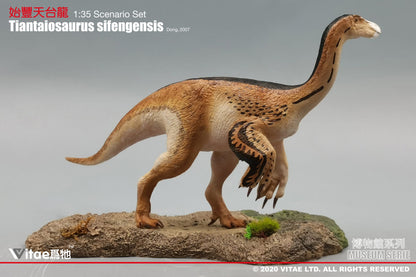 Vitae Museum Series Tiantaiosaurus sifengensis dinosaur model figurine (with platform B) 1:35