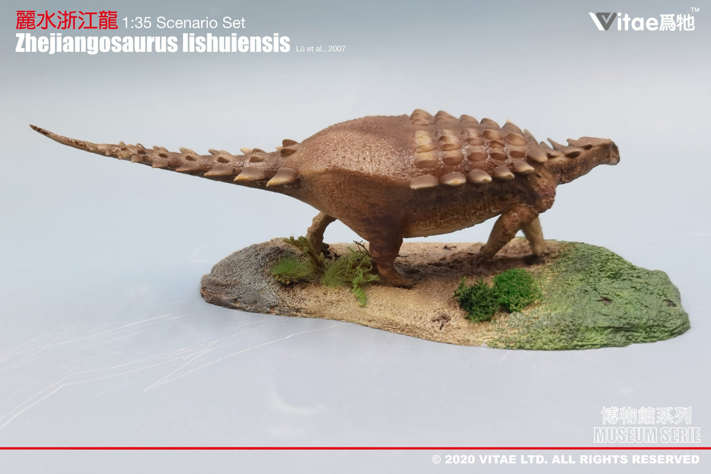 Vitae Museum Series Zhejiangosaurus lishuiensis dinosaur model figurine with platform 1:35