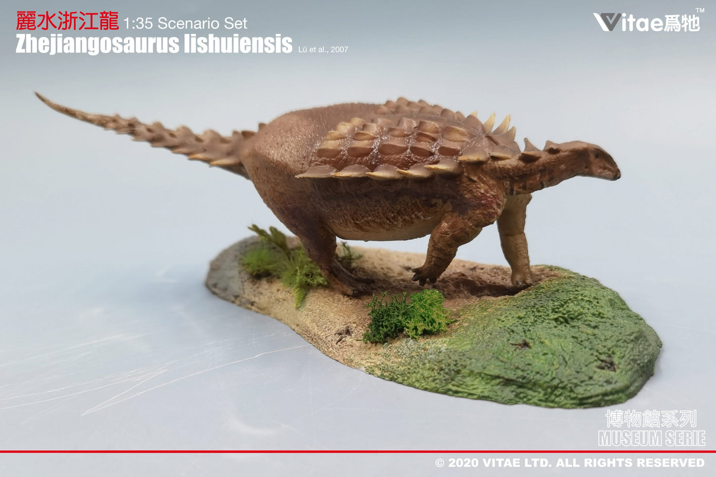 Vitae Museum Series Zhejiangosaurus lishuiensis dinosaur model figurine with platform 1:35