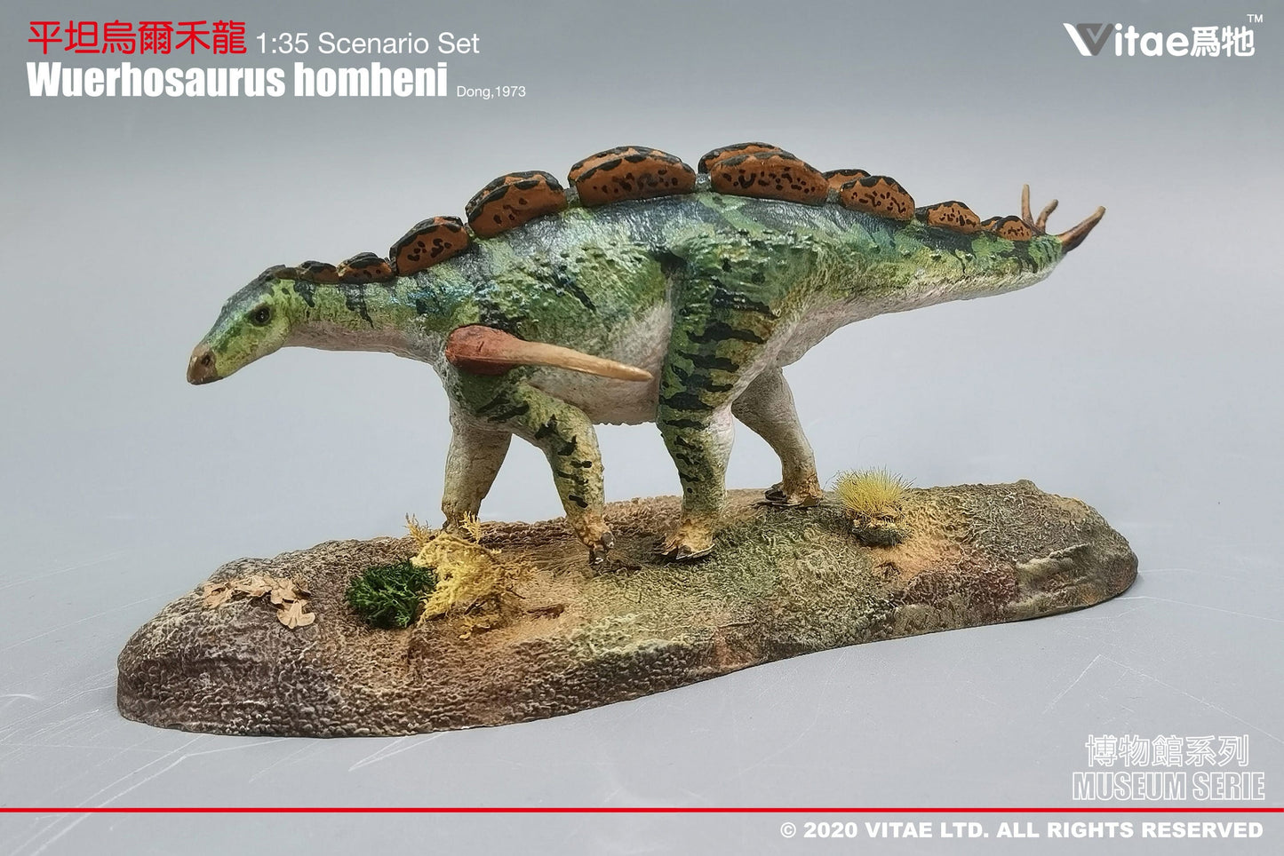 Vitae Museum Series Wuerhosaurus homheni dinosaur model figurine with platform 1:35