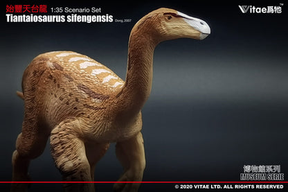 Vitae Museum Series Tiantaiosaurus sifengensis dinosaur model figurine (no platform) 1:35