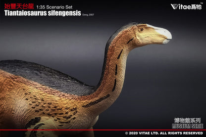 Vitae Museum Series Tiantaiosaurus sifengensis dinosaur model figurine (no platform) 1:35