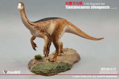 Vitae Museum Series Tiantaiosaurus sifengensis dinosaur model figurine (with platform B) 1:35