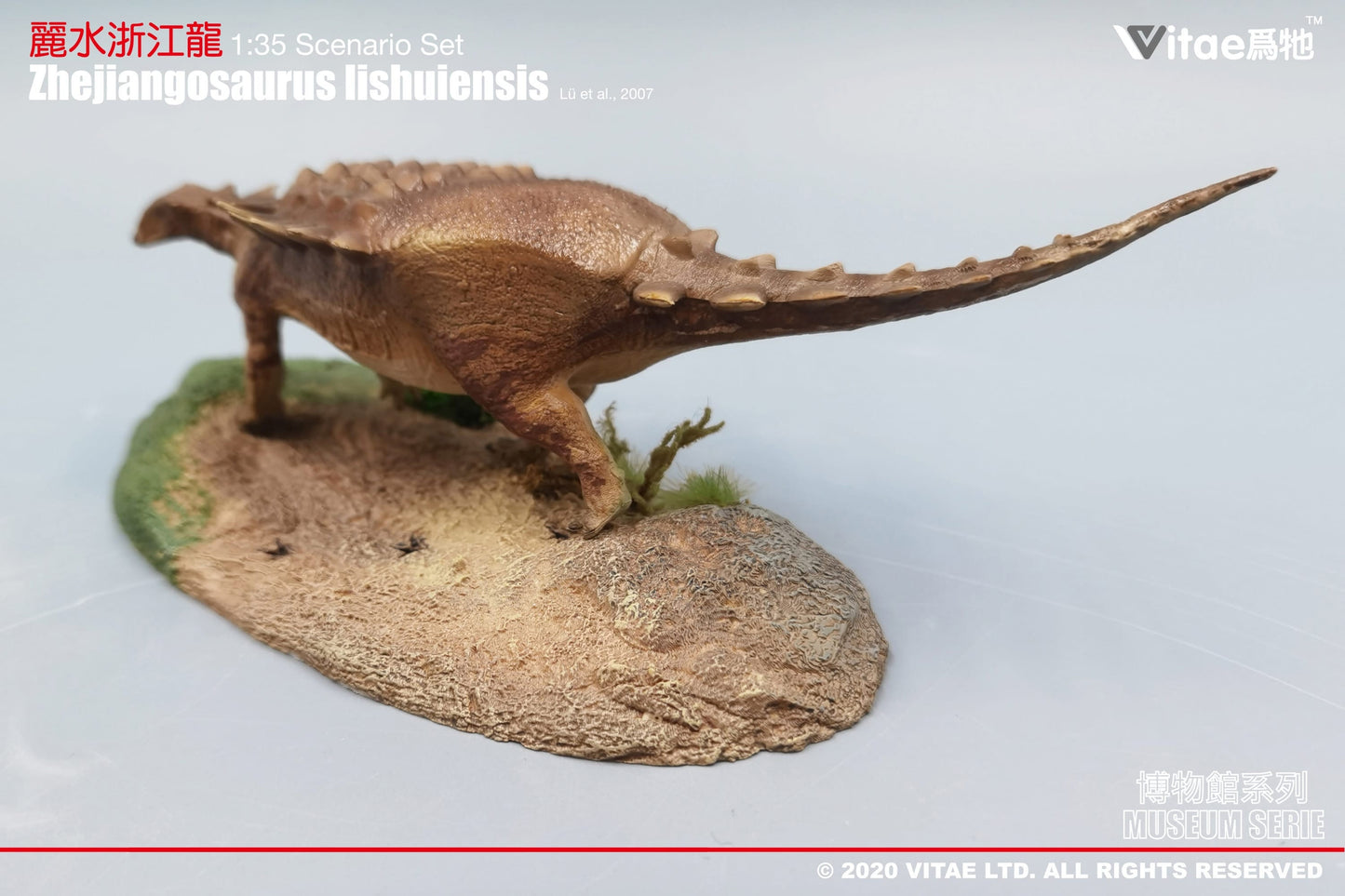 Vitae Museum Series Zhejiangosaurus lishuiensis dinosaur model figurine with platform 1:35