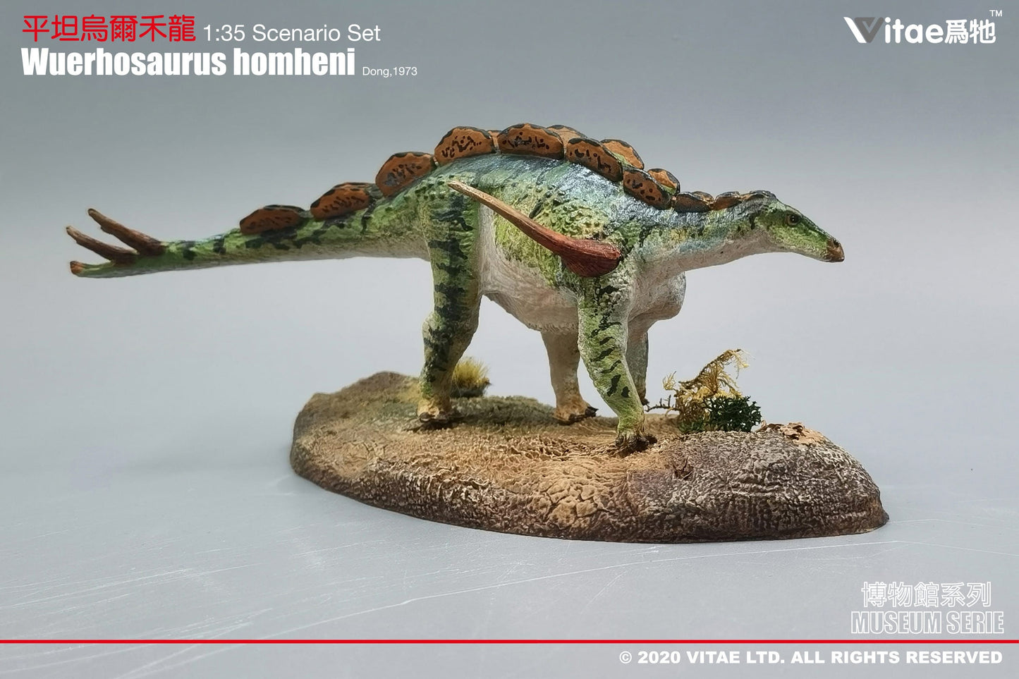 Vitae Museum Series Wuerhosaurus homheni dinosaur model figurine with platform 1:35