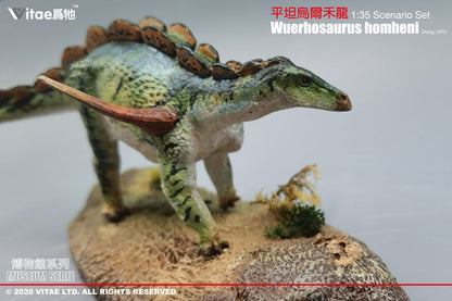 Vitae Museum Series Wuerhosaurus homheni dinosaur model figurine with platform 1:35