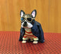 Only Wan Capsule Dog French Bulldog Lucas PVC Mini Figure Figurine Model